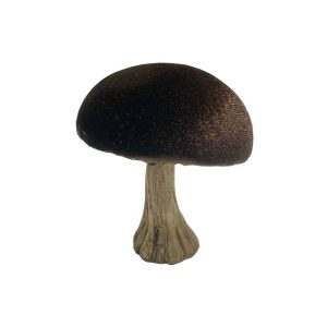 Decoration velvet mushroom Brown